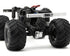 Traxxas TRX-4MT 1/18 4WD RTR Micro Monster Truck w/1979 Ford F-150 Body (Black) w/TQ 2.4GHz Radio